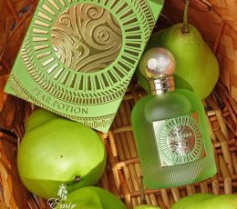 Pear Potion - Paris Corner
